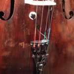ischell-acvx-cello