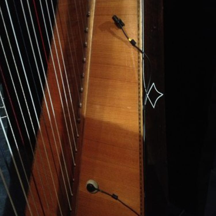 transducteur de Harpe Portable en métal de qualité. RiToEasysports Harp Pickup Accessoire pour Instrument de Musique 